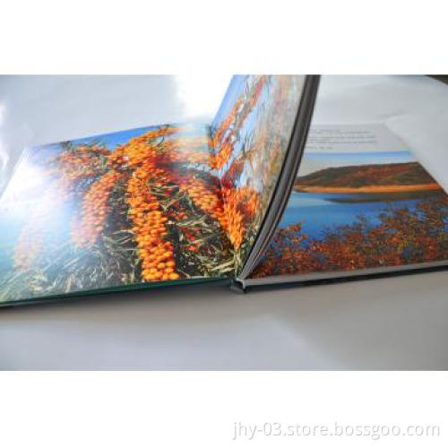 Colorful Book Printing Service